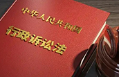 行政案件的案卷应当包括哪些内容